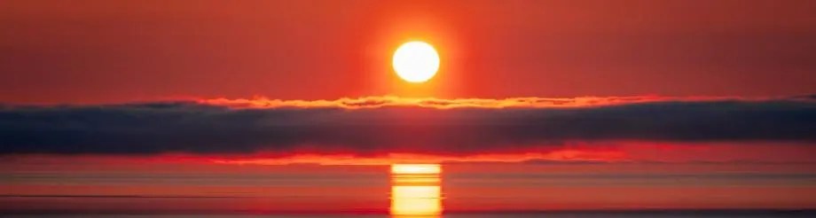 The Collective Genius